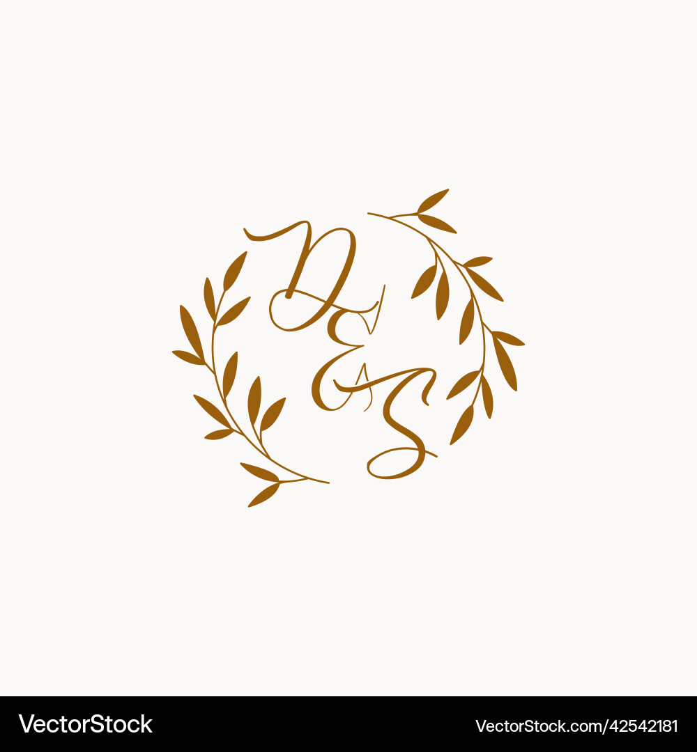 Ds initial wedding monogram logo Royalty Free Vector Image