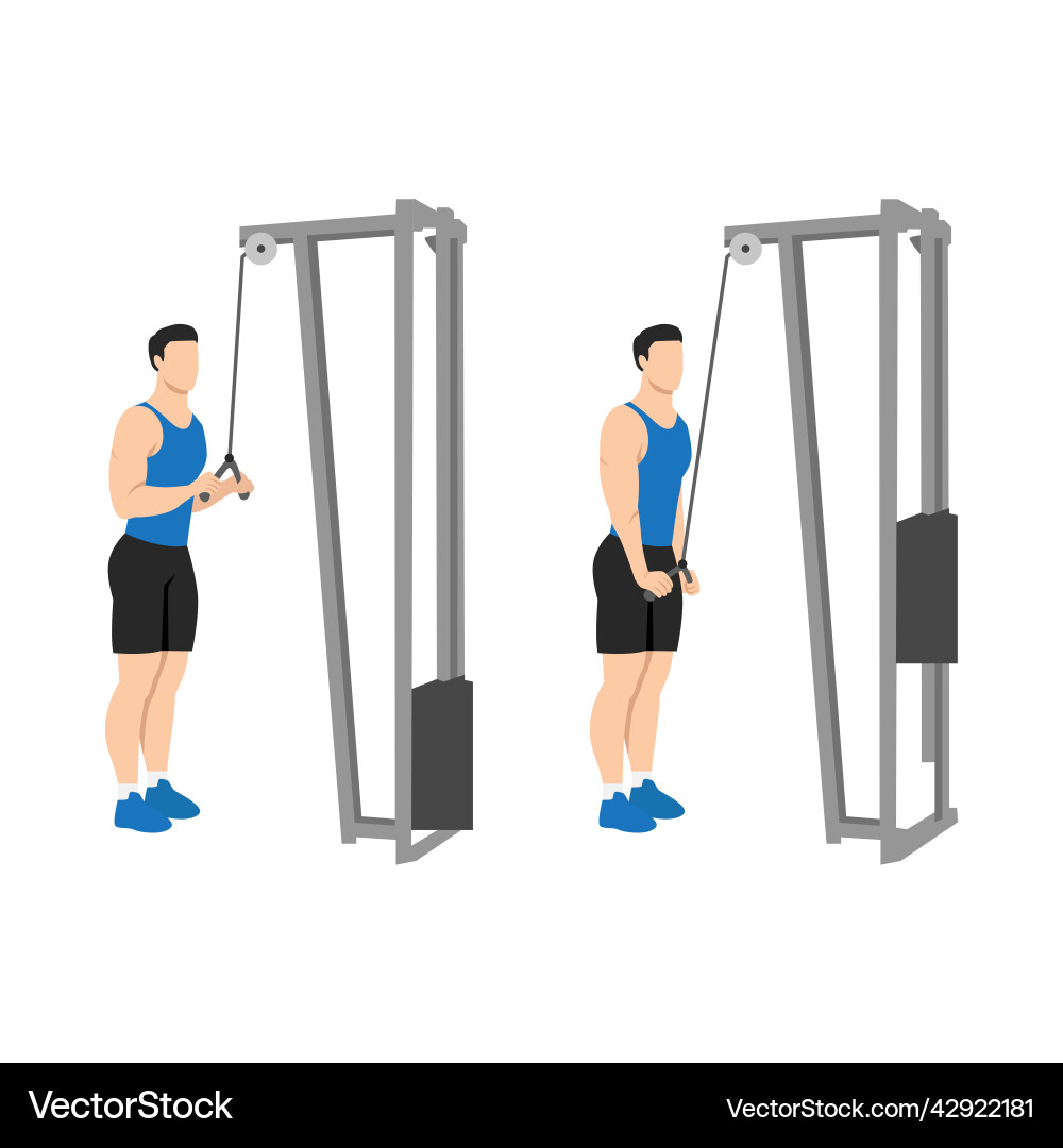 Man doing triceps presdown exercise Man doing triceps presdown exercise vector image