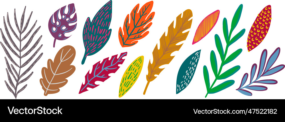 Leaves of trees and plants spring autumn Leaves of trees and plants spring autumn Vector Image
