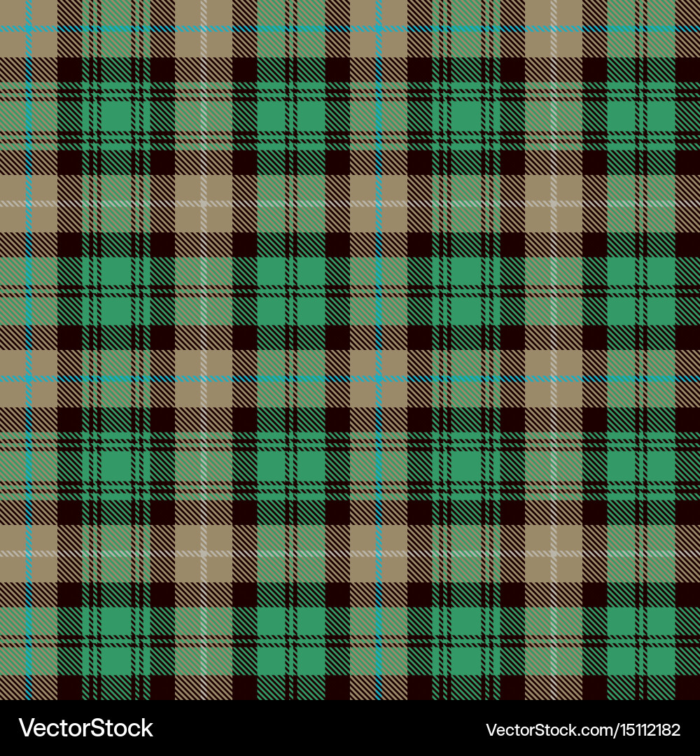 Scottish Tartan Pattern Background vector image