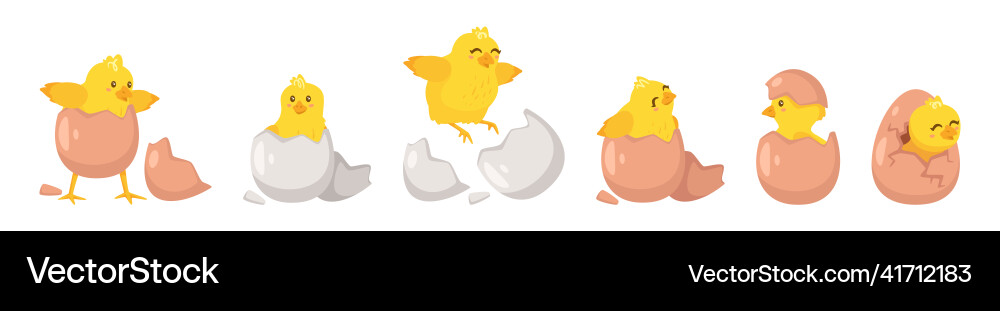 Hatching process isolated Hatching process isolated vector image