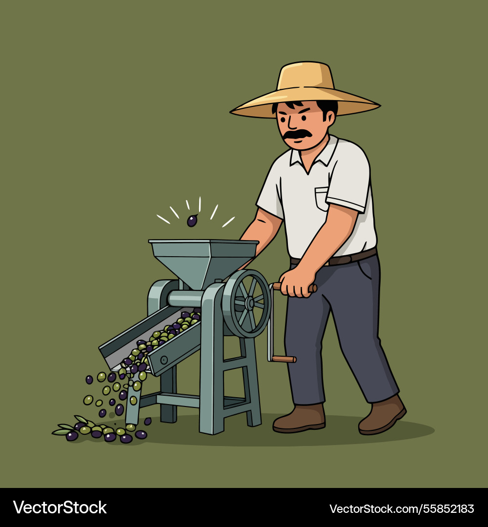 Man operating olive processing machine filling Vector Image
