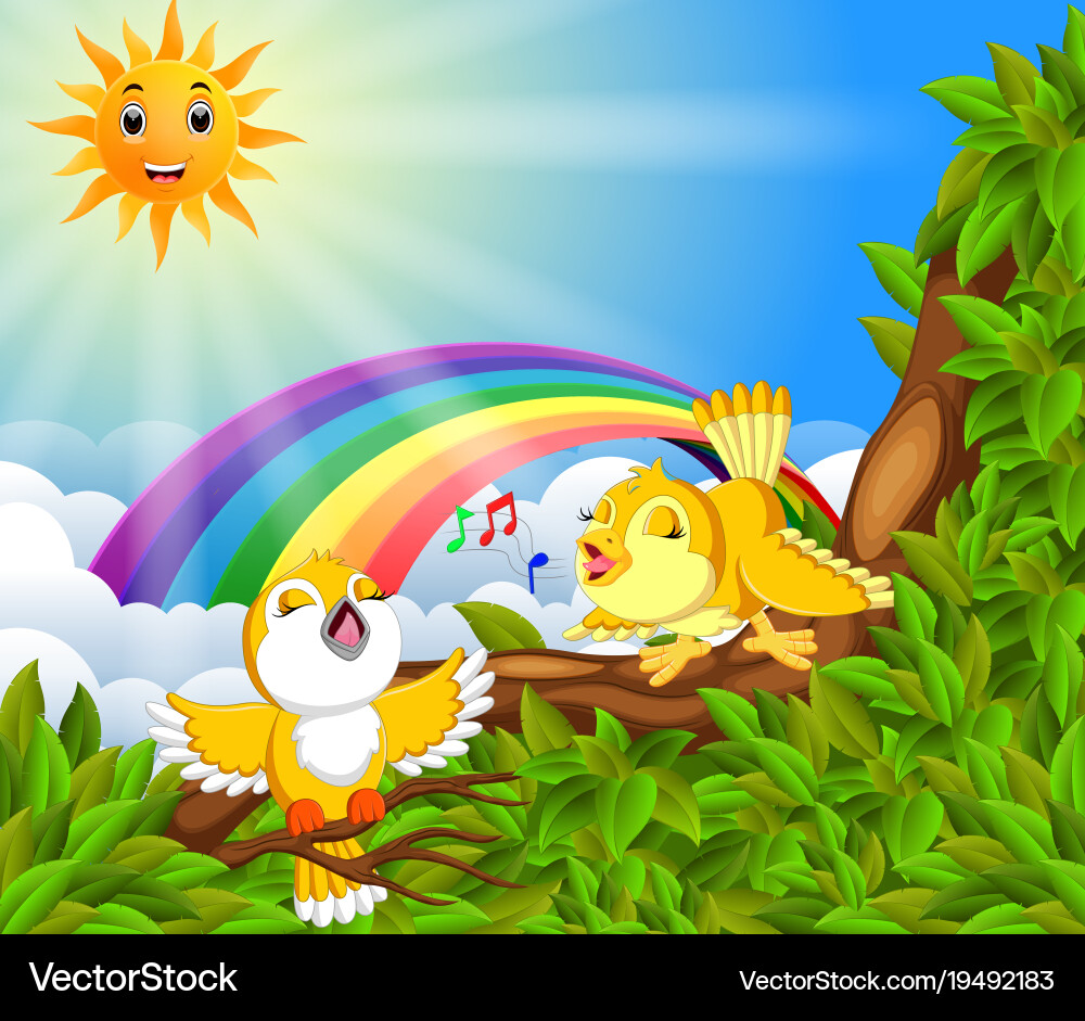 Many bird on the tree branch with rainbow scene Vector Image