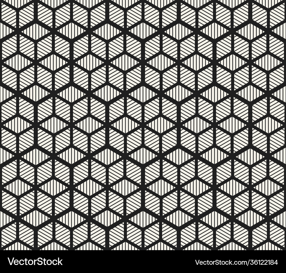 Modern Hexagonal Pattern vector image