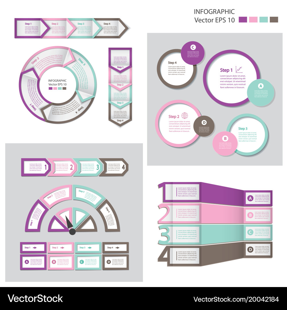Process Flow Chart Infographic Set vector image