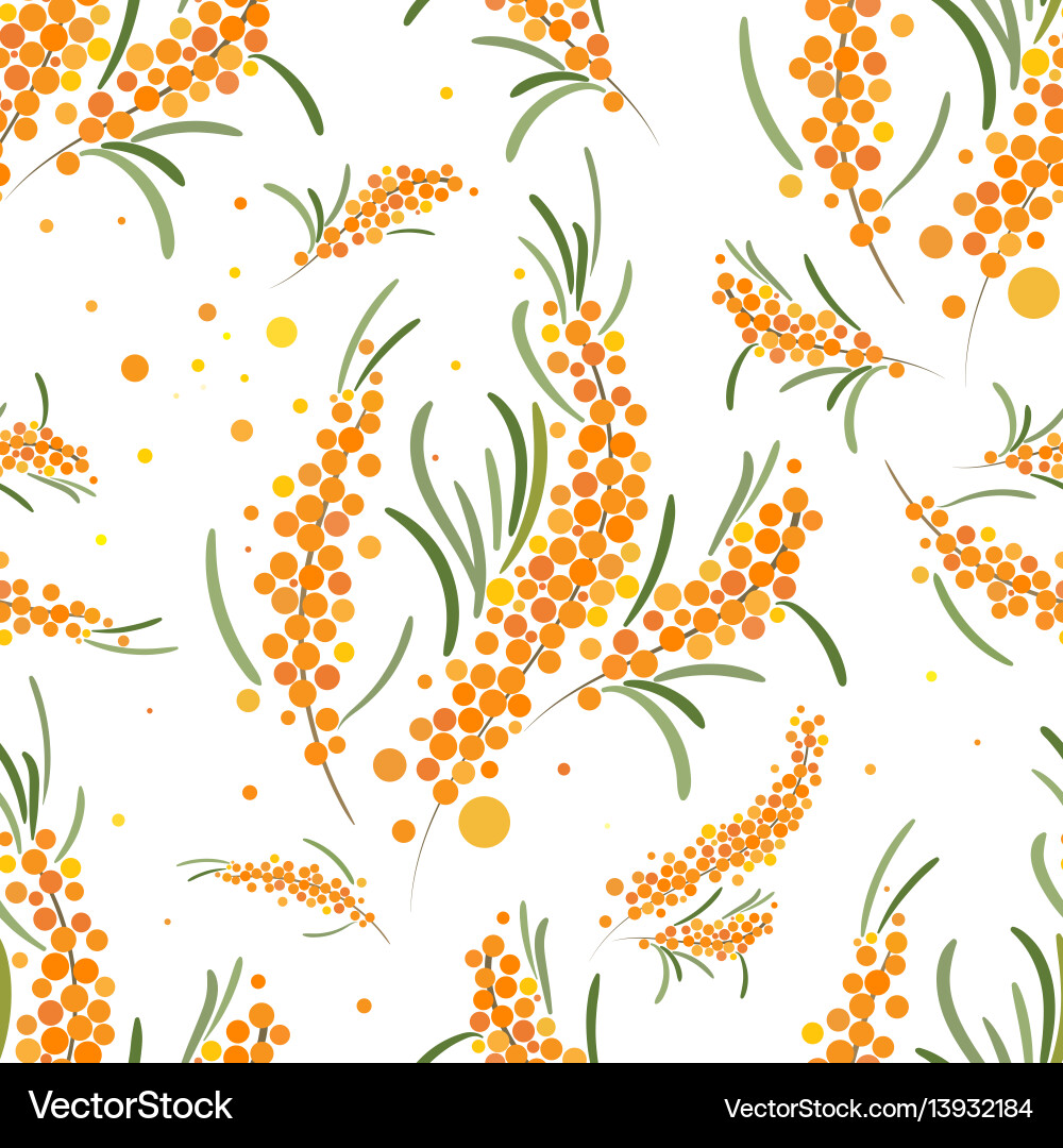 Seabuckthorn seamless pattern abstract Seabuckthorn seamless pattern abstract vector image