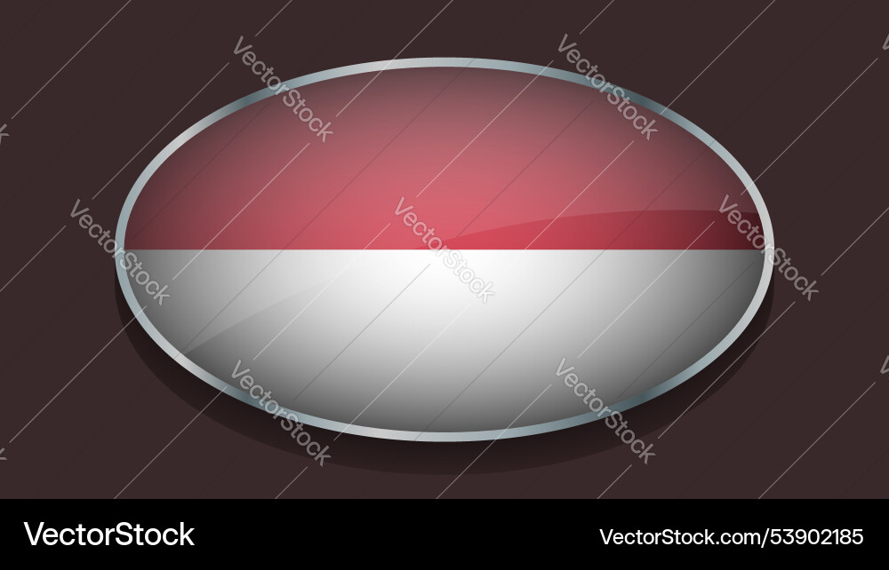Eclipse shape of monaco flag with original color Vector Image