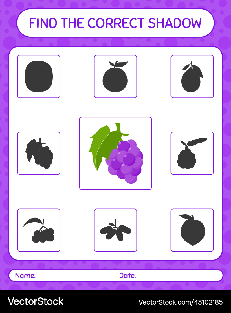 Find the correct shadows game with grape Find the correct shadows game with grape vector image