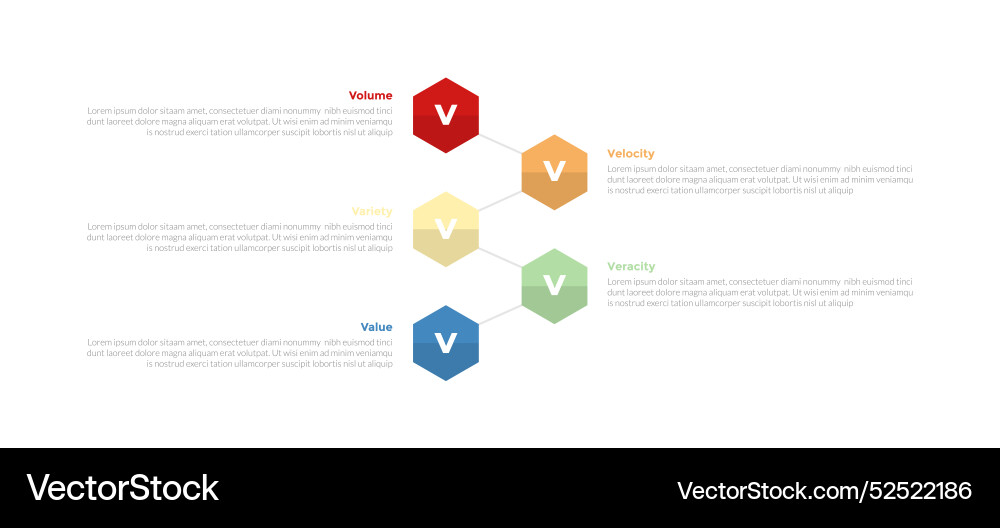 5vs Big Data Infographics Template Diagram Vector Image