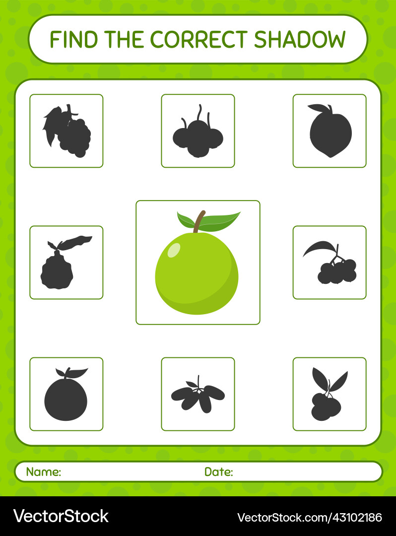 Find the correct shadows game with guava Find the correct shadows game with guava vector image