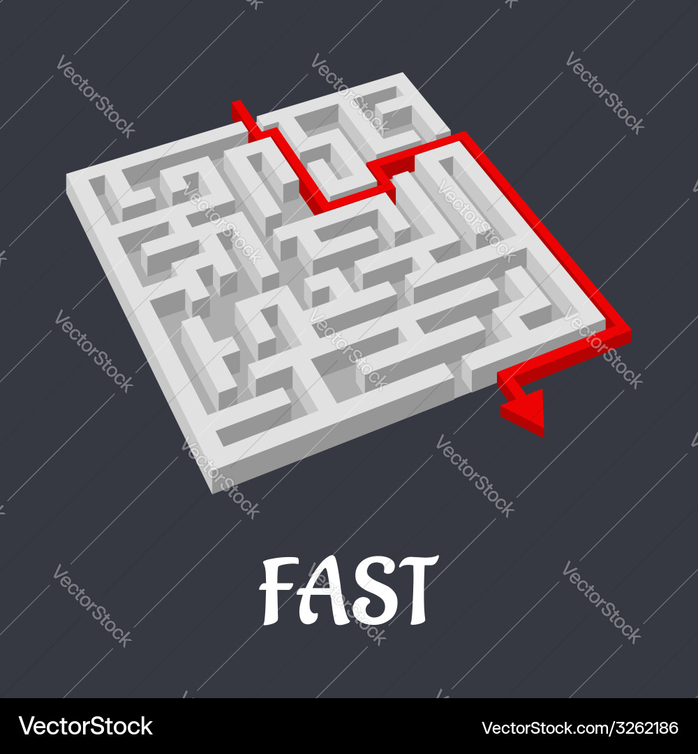 Labyrinth puzzle with a fast short solution Vector Image