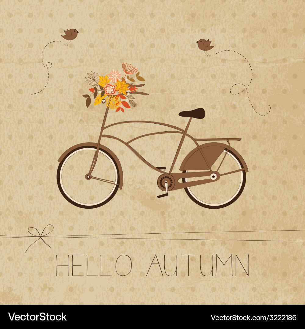 Retro Bicycle Card Vector Image