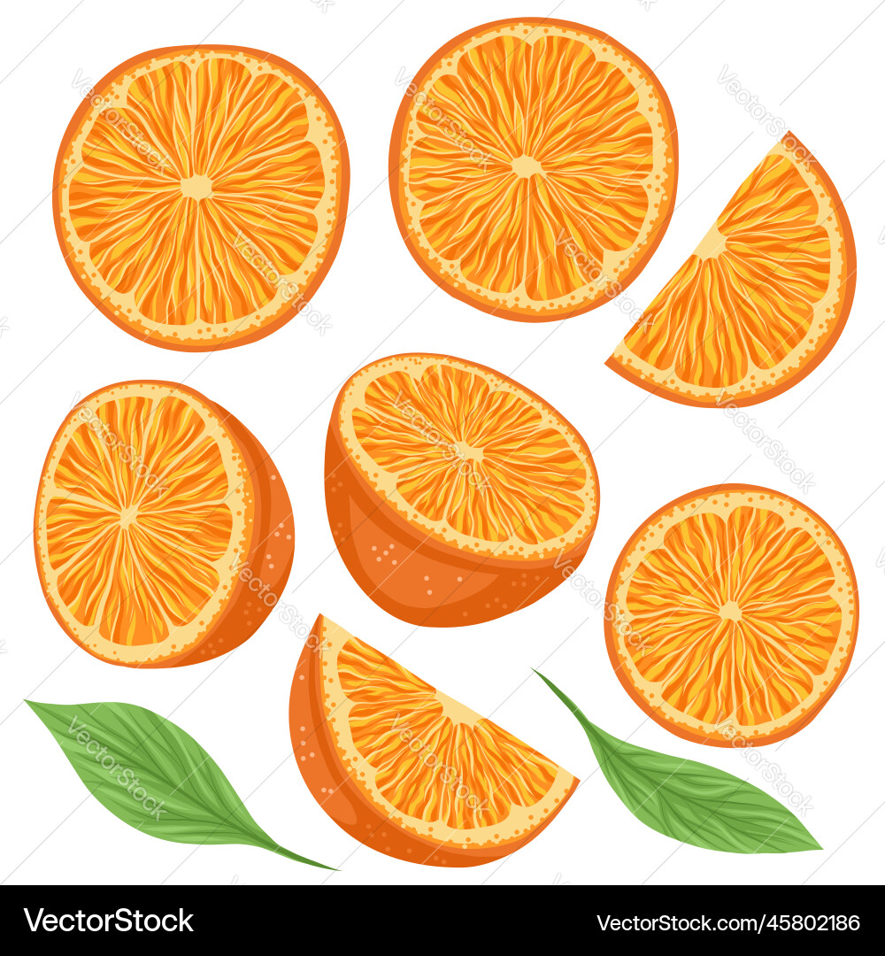 Set of orange with slice Set of orange with slice vector image