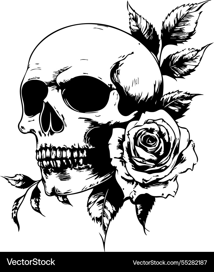 Monochrome skull with a delicate rose detailed Monochrome skull with a delicate rose detailed vector image