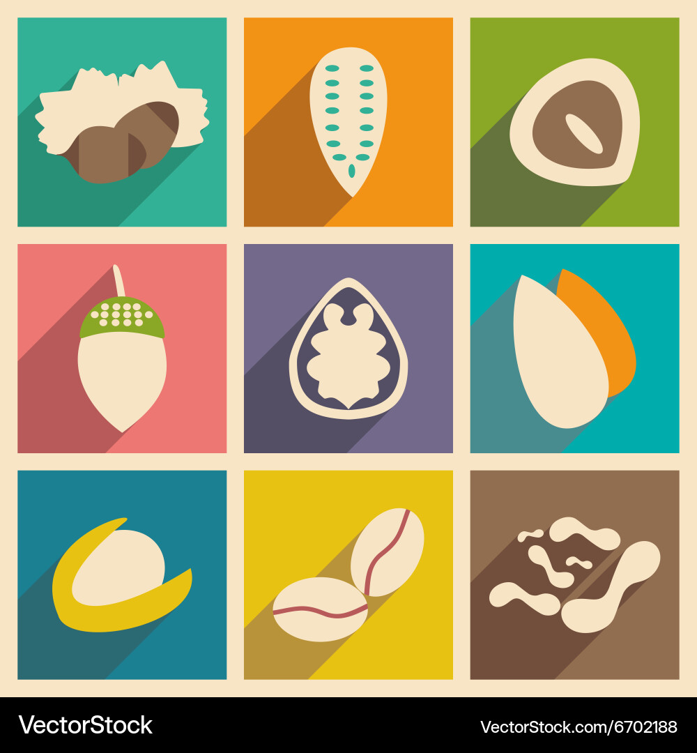 Flat with shadow concept and mobile application vector image
