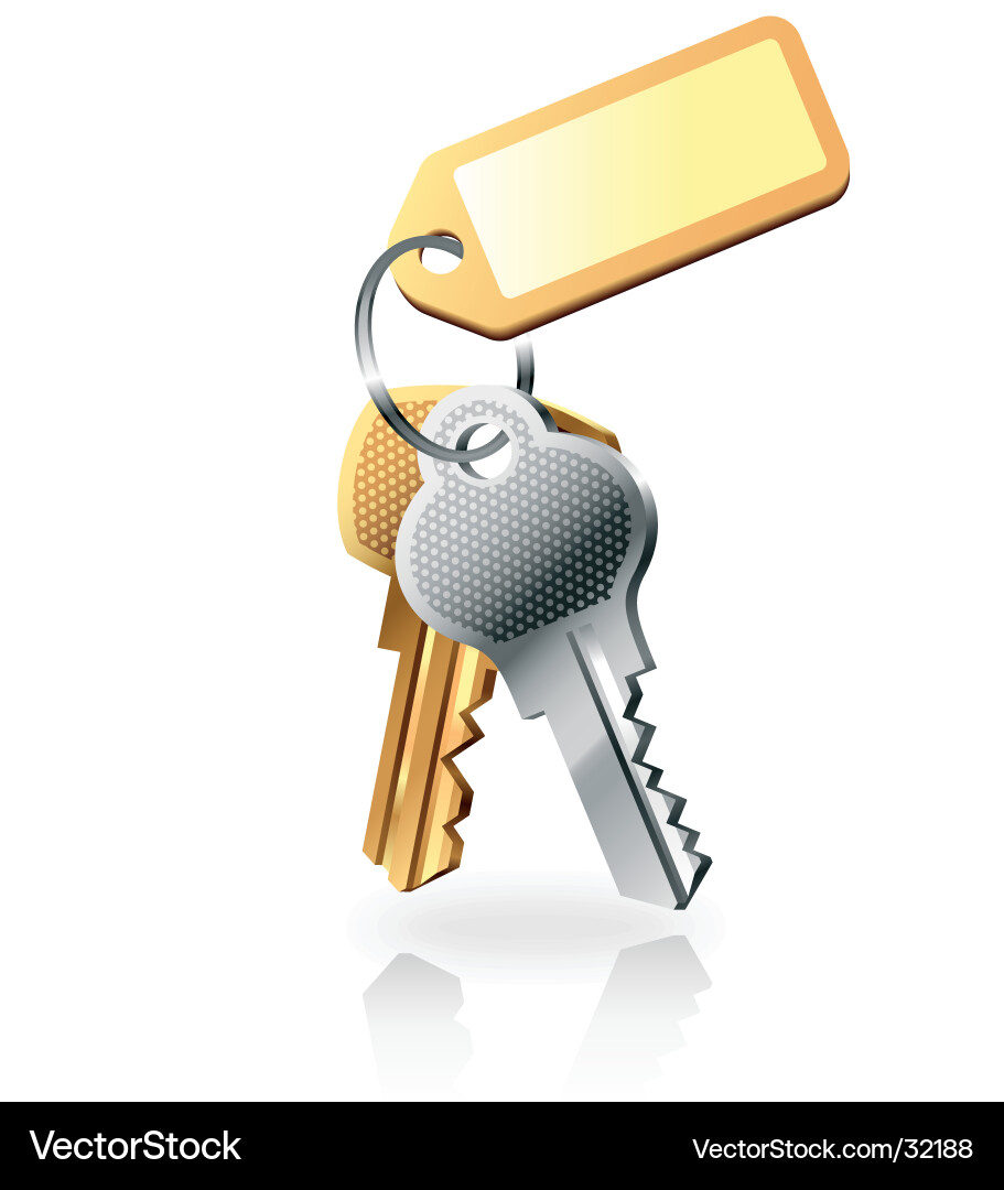 Pair of Keys with Charm Vector Image