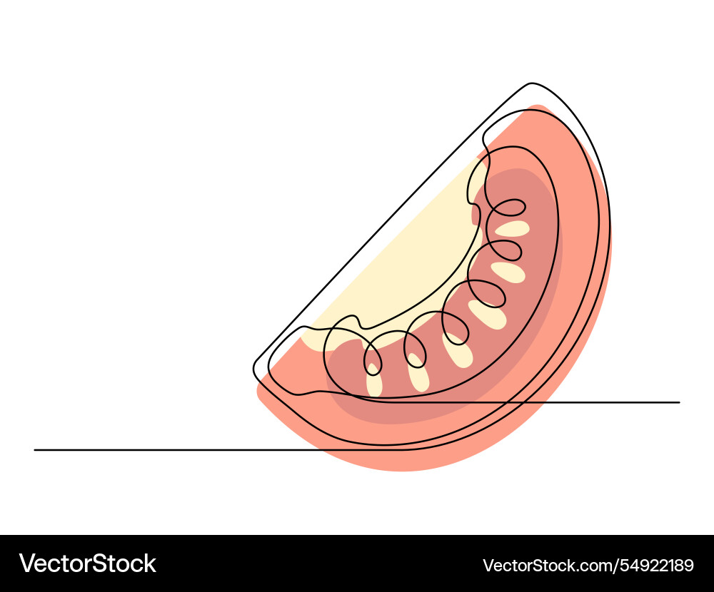 Continuous one line red tomato slice vector image
