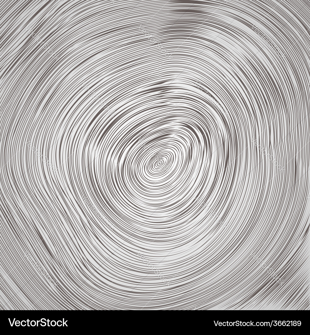 Tree Trunk Ring Pattern vector image