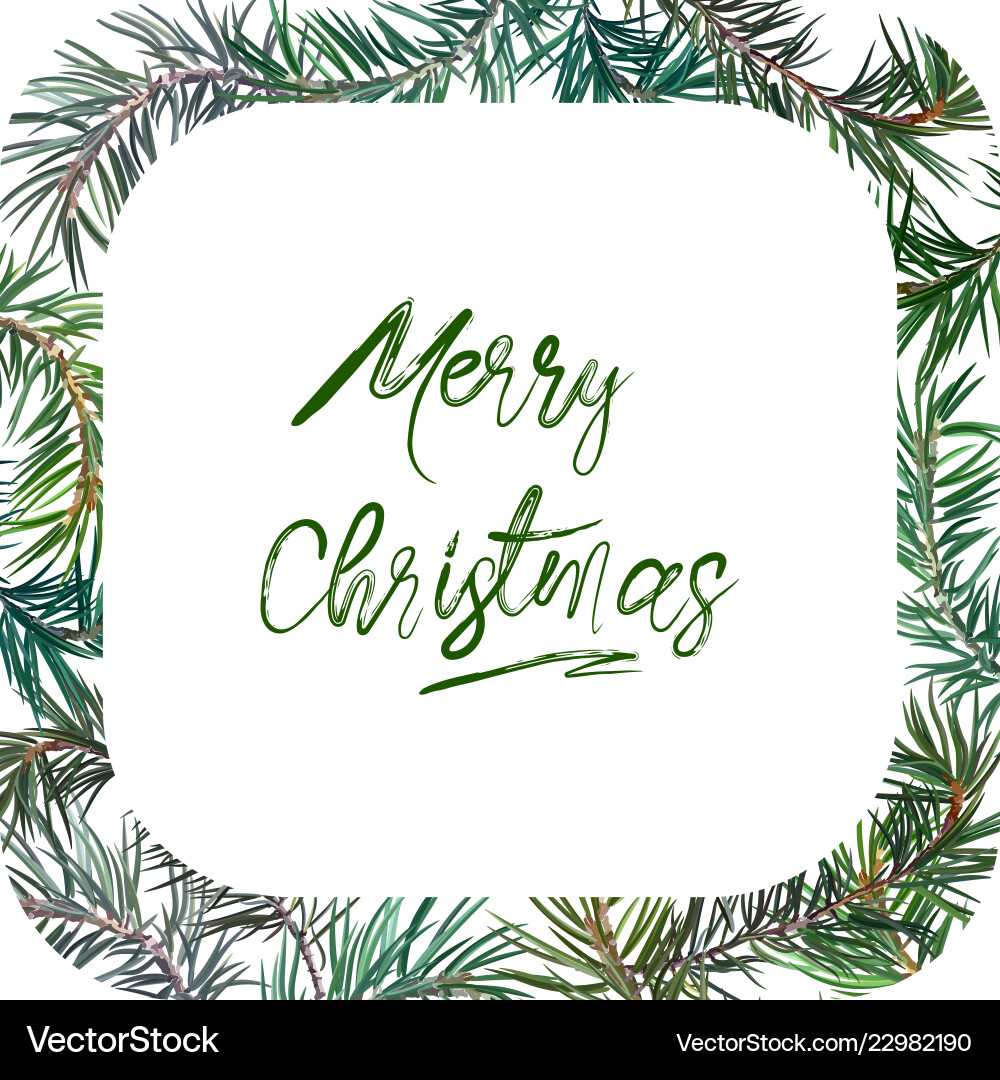 Frame with fir tree Frame with fir tree Vector Image