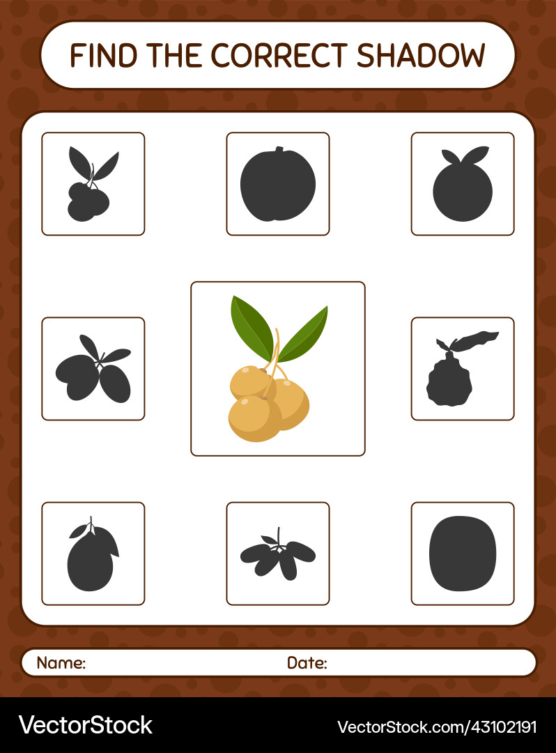 Find the correct shadows game with longan Find the correct shadows game with longan vector image