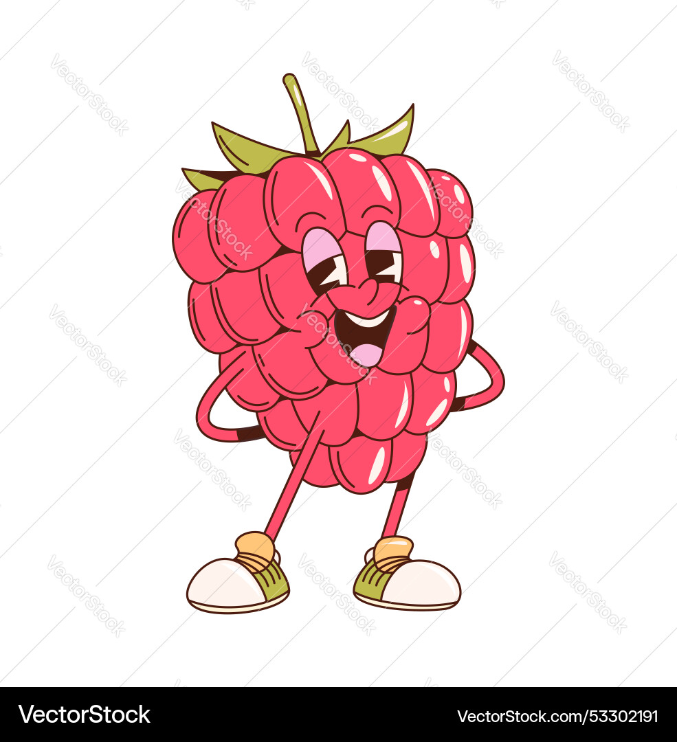 Retro Groovy Raspberry Character vector image