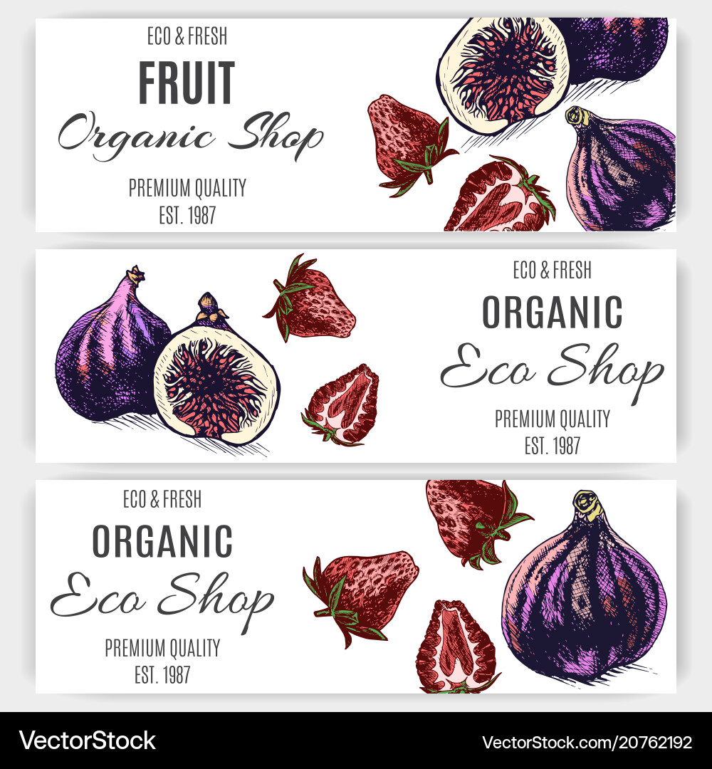 Fresh Fruit Banner - Figs & Strawberries Vector Image