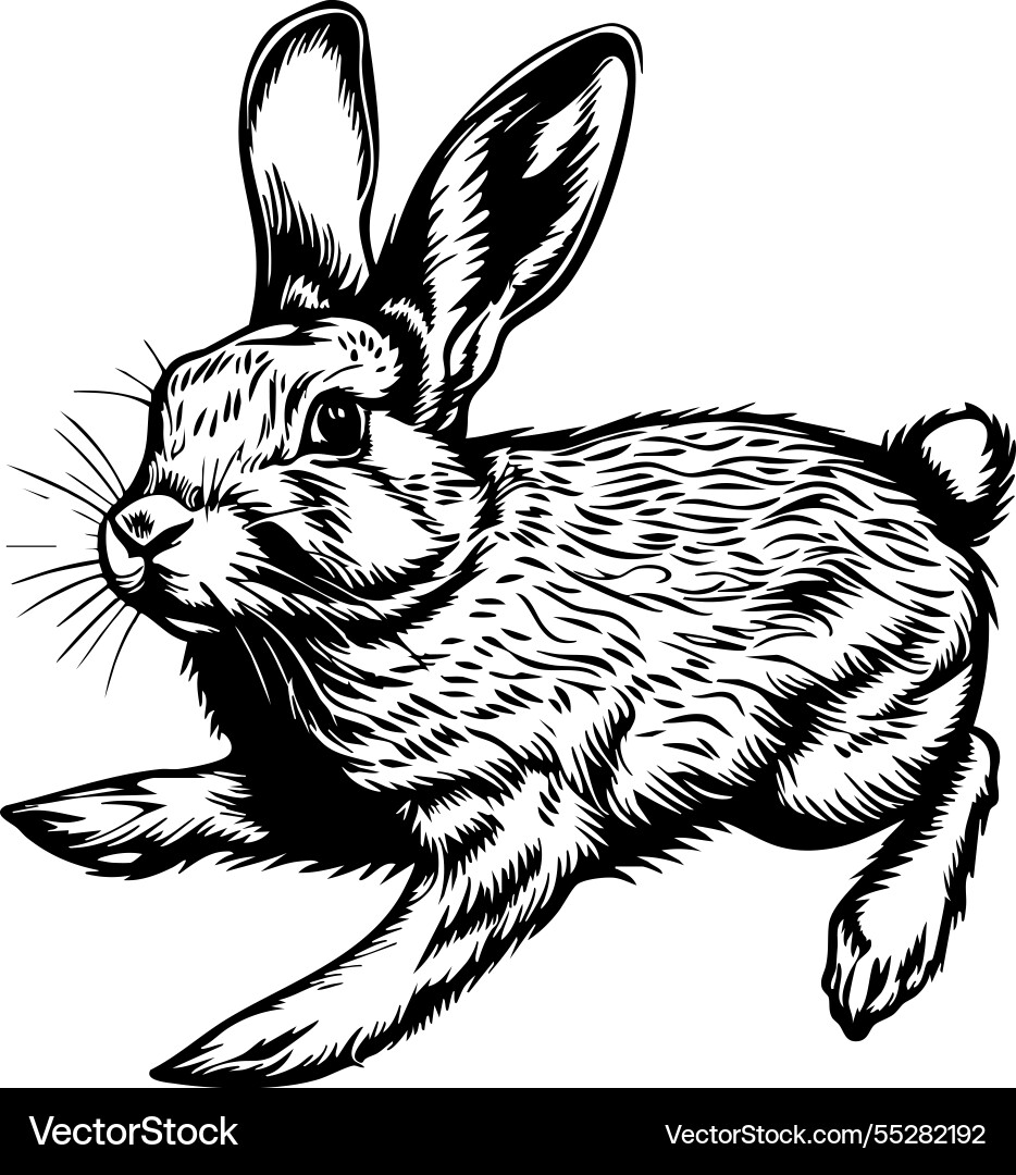 Rabbit running with detailed fur texture on white Rabbit running with detailed fur texture on white Vector Image