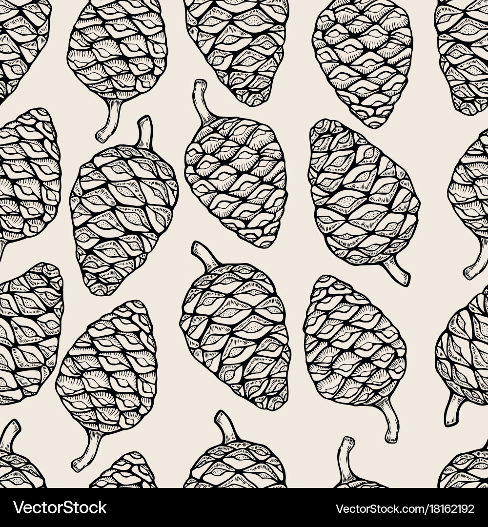 Seamless pattern with pine cones Vector Image