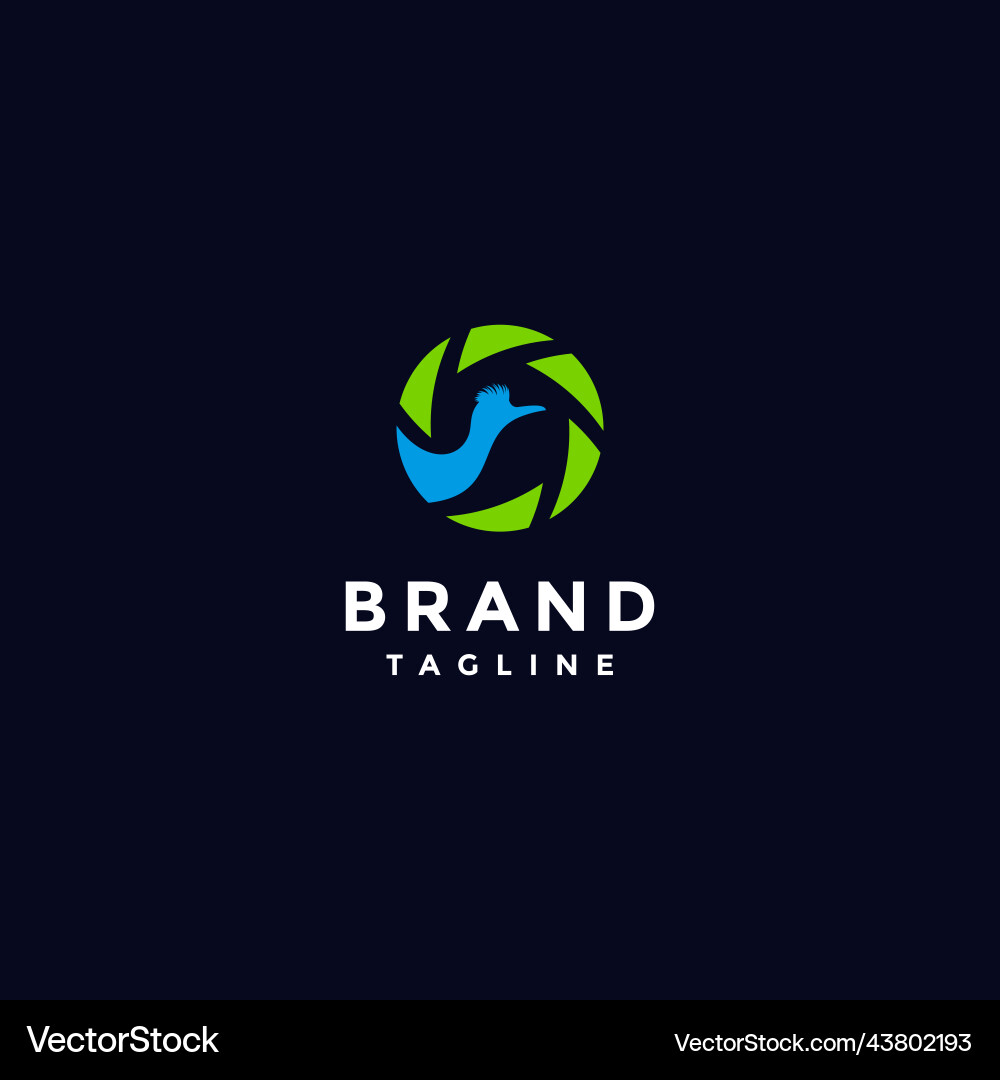 Bird in the shutter camera icon Bird in the shutter camera icon vector image