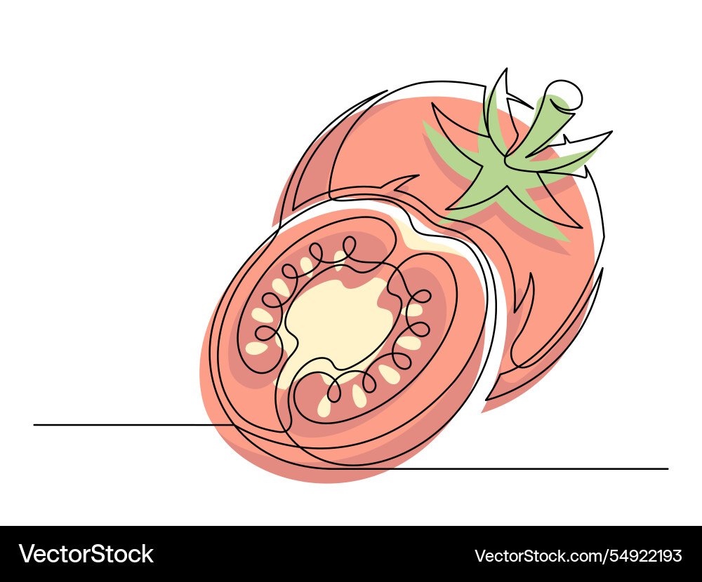 Continuous one line whole and halves red tomato Continuous one line whole and halves red tomato Vector Image