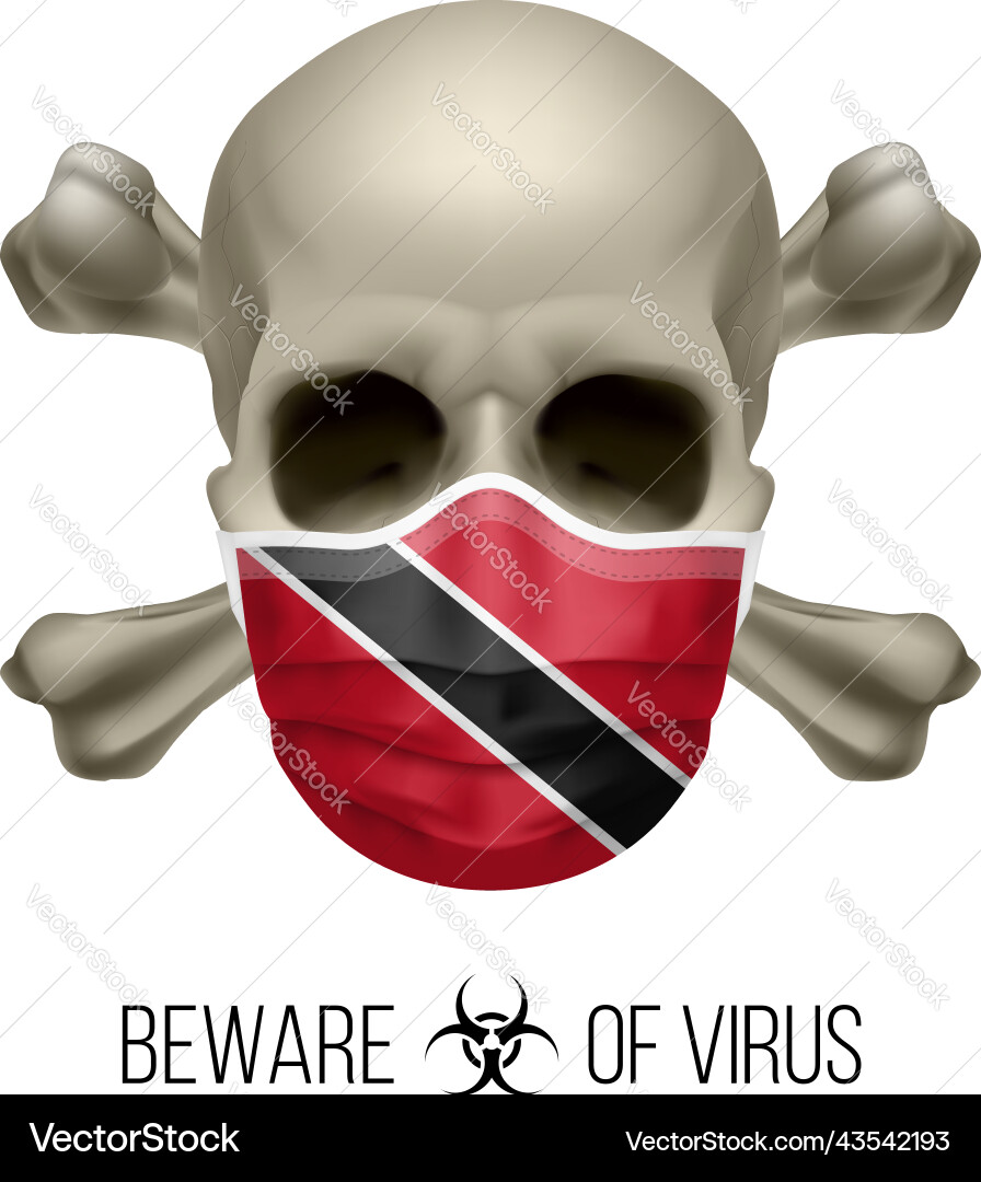 Human skull Human skull Vector Image