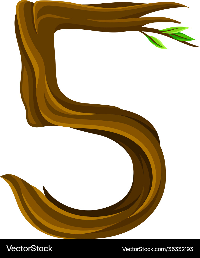 Woody number five arranged from branching tree Woody number five arranged from branching tree vector image