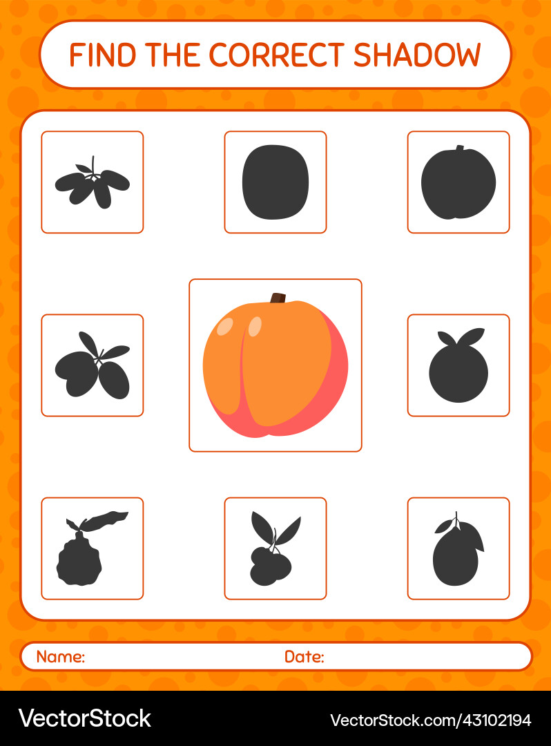 Find the correct shadows game with peach Find the correct shadows game with peach vector image