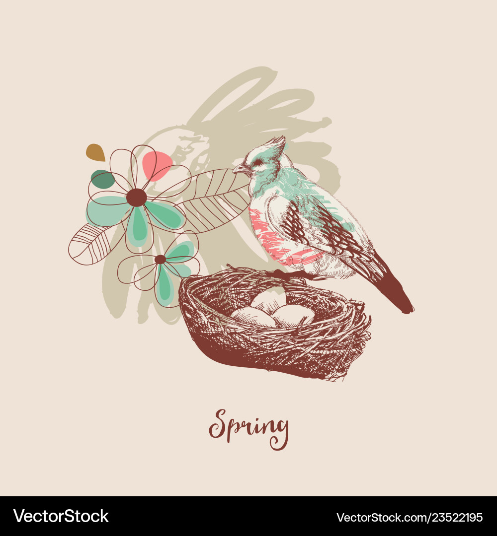 Spring background a bird nest and flowers Vector Image