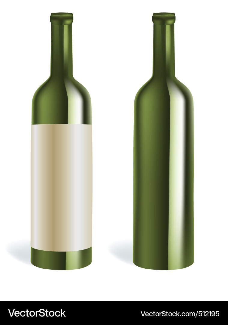 Wine Bottles Collection Vector Image