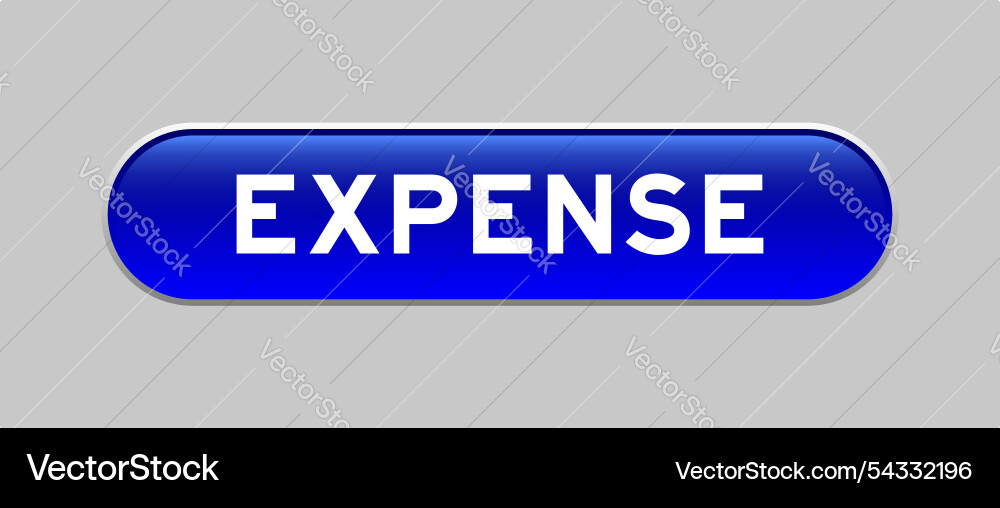 Blue color capsule shape button with word expense Blue color capsule shape button with word expense vector image