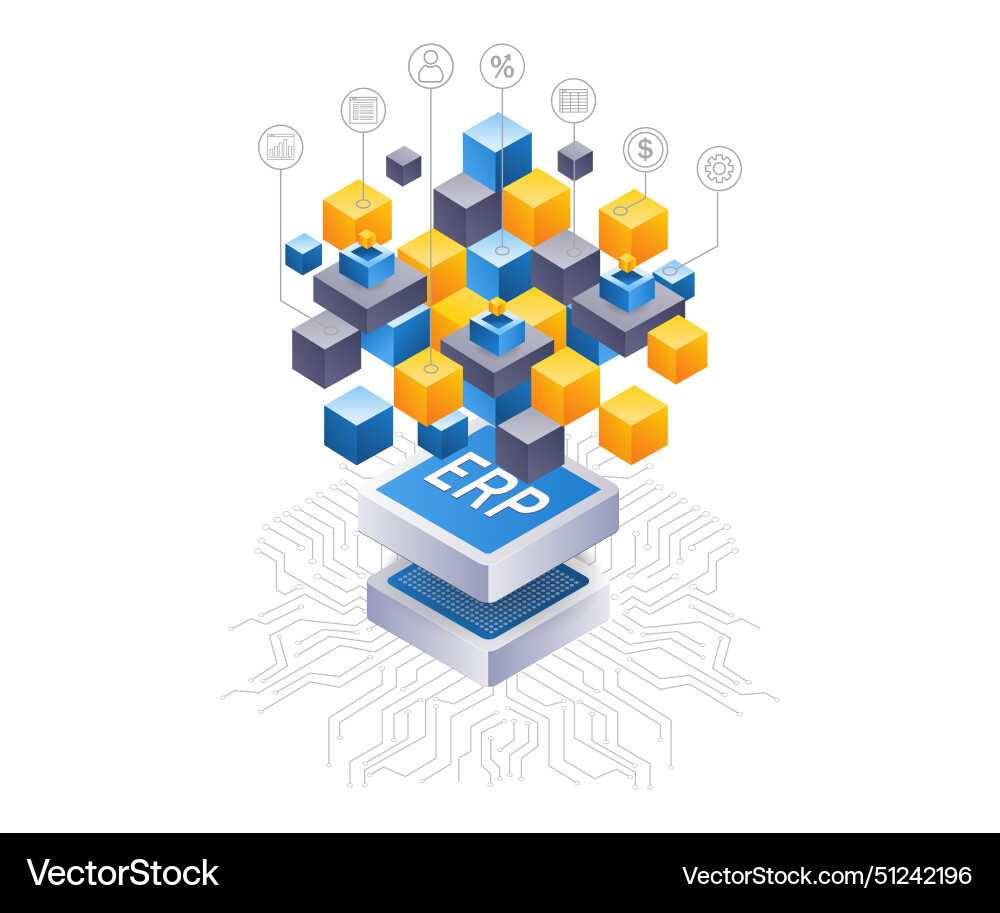 Erp network business developer infographic 3d Erp network business developer infographic 3d Vector Image