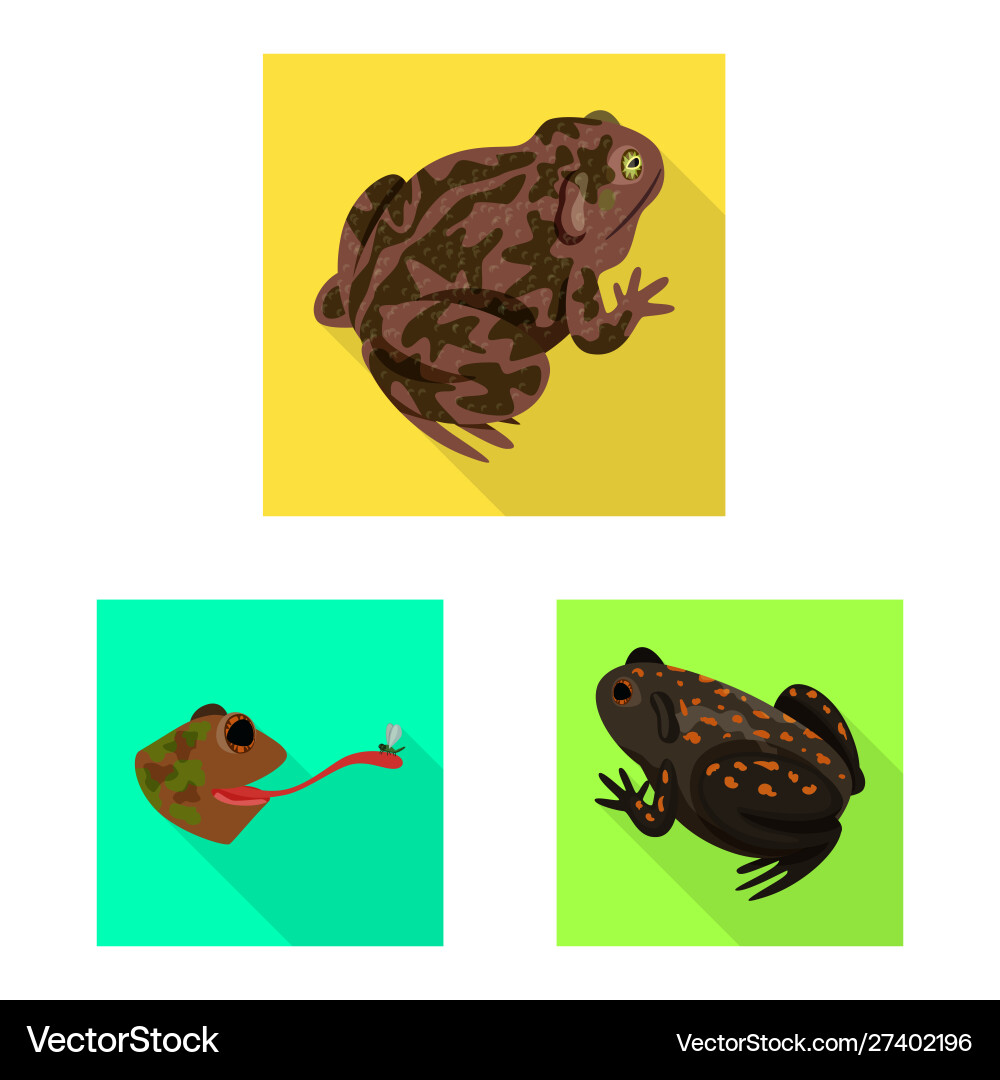 Isolated object wildlife and bog symbol set Isolated object wildlife and bog symbol set Vector Image
