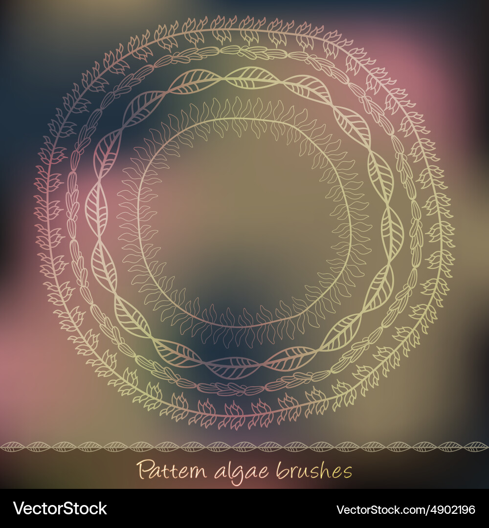 Set of pattern algae brushes Vector Image