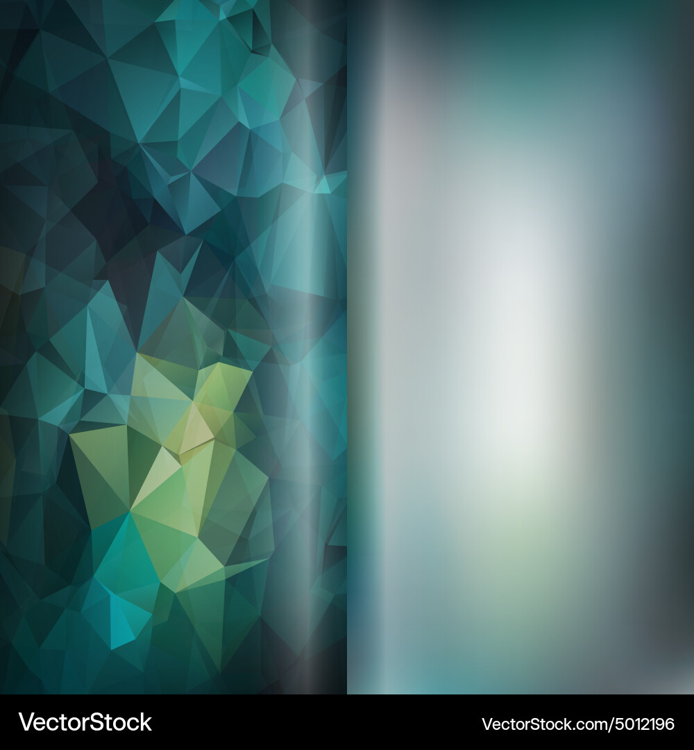 Set of polygon triangles and blurred backgrounds Vector Image