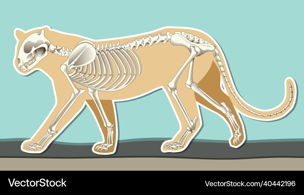 Thumbnail design with outline of leopard Vector Image