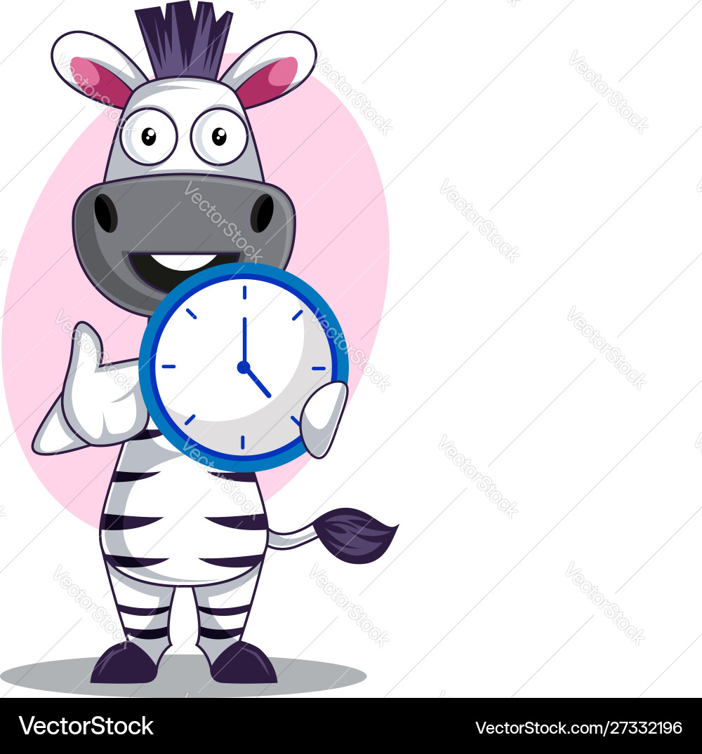 Zebra with clock on white background vector image