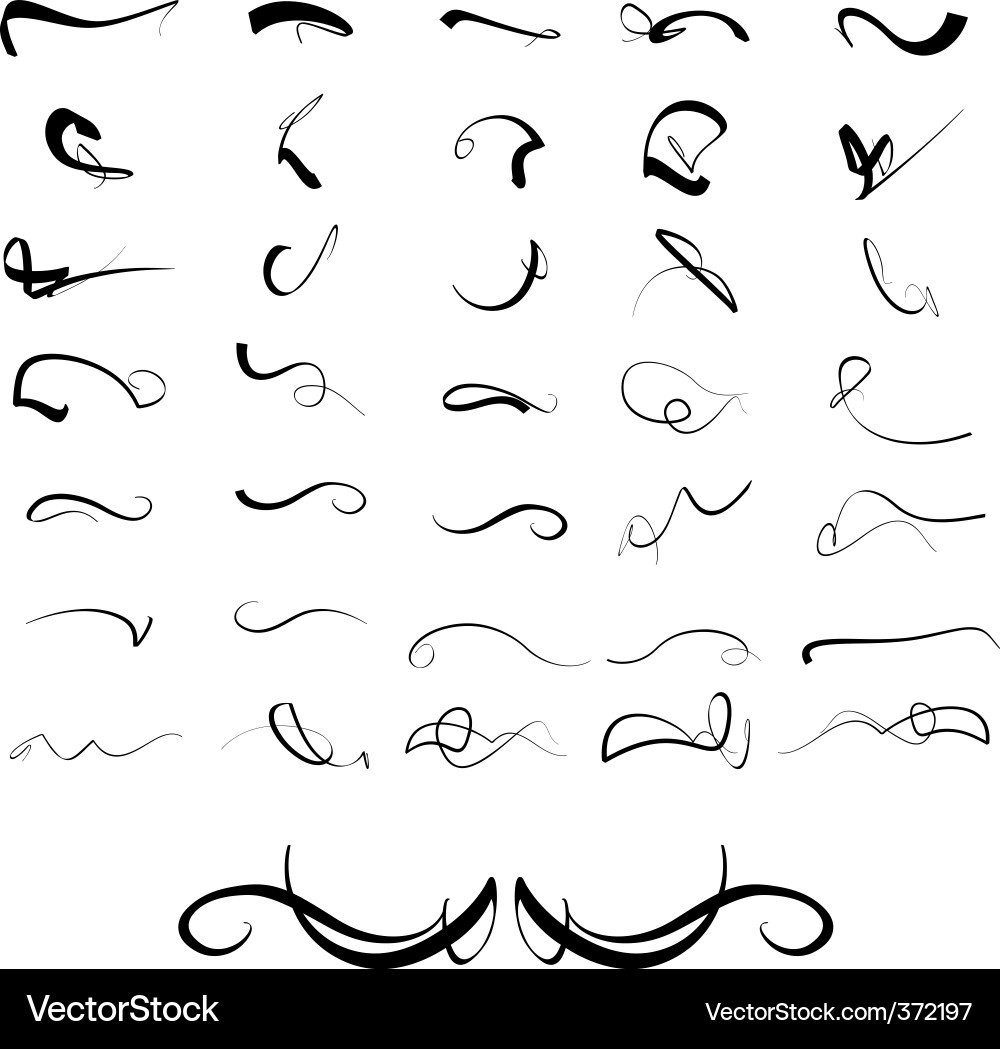 Decorative Swirls Vector Image