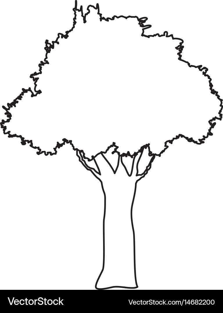 Tree foliage branch spring time vector image