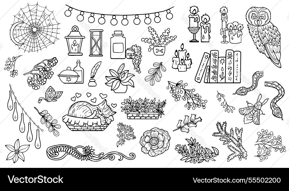Witchy design set with cozy mystical boho objects Witchy design set with cozy mystical boho objects vector image