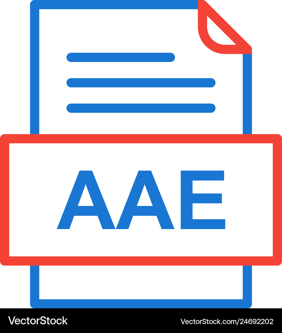 Aae file document icon vector image