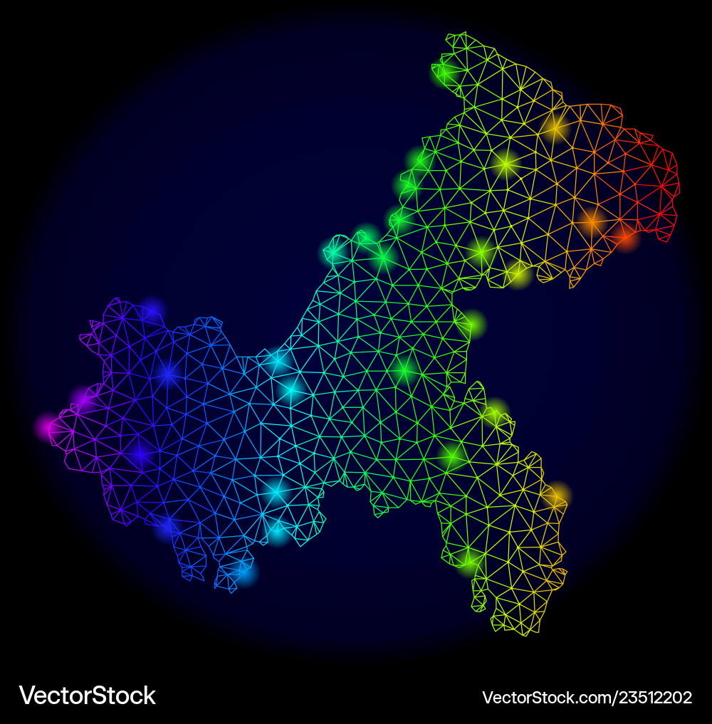Polygonal wire frame colorful mesh map Polygonal wire frame colorful mesh map vector image
