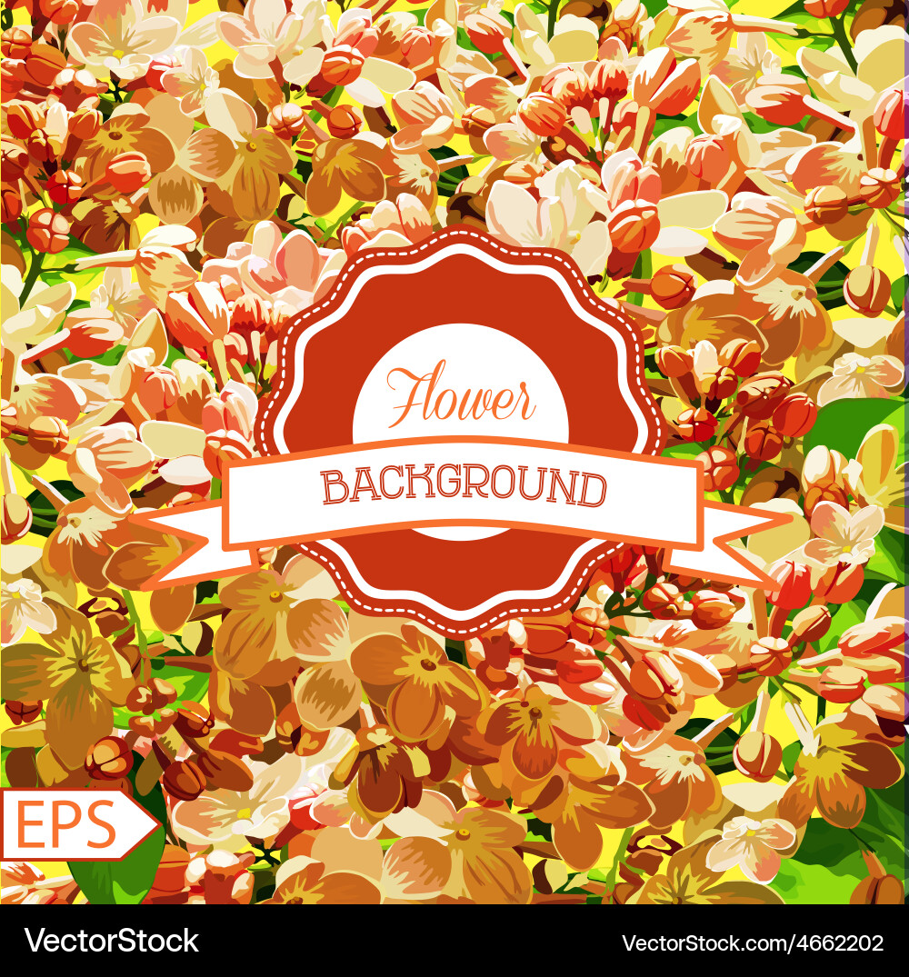 Spring pattern for the design of flowers vector image