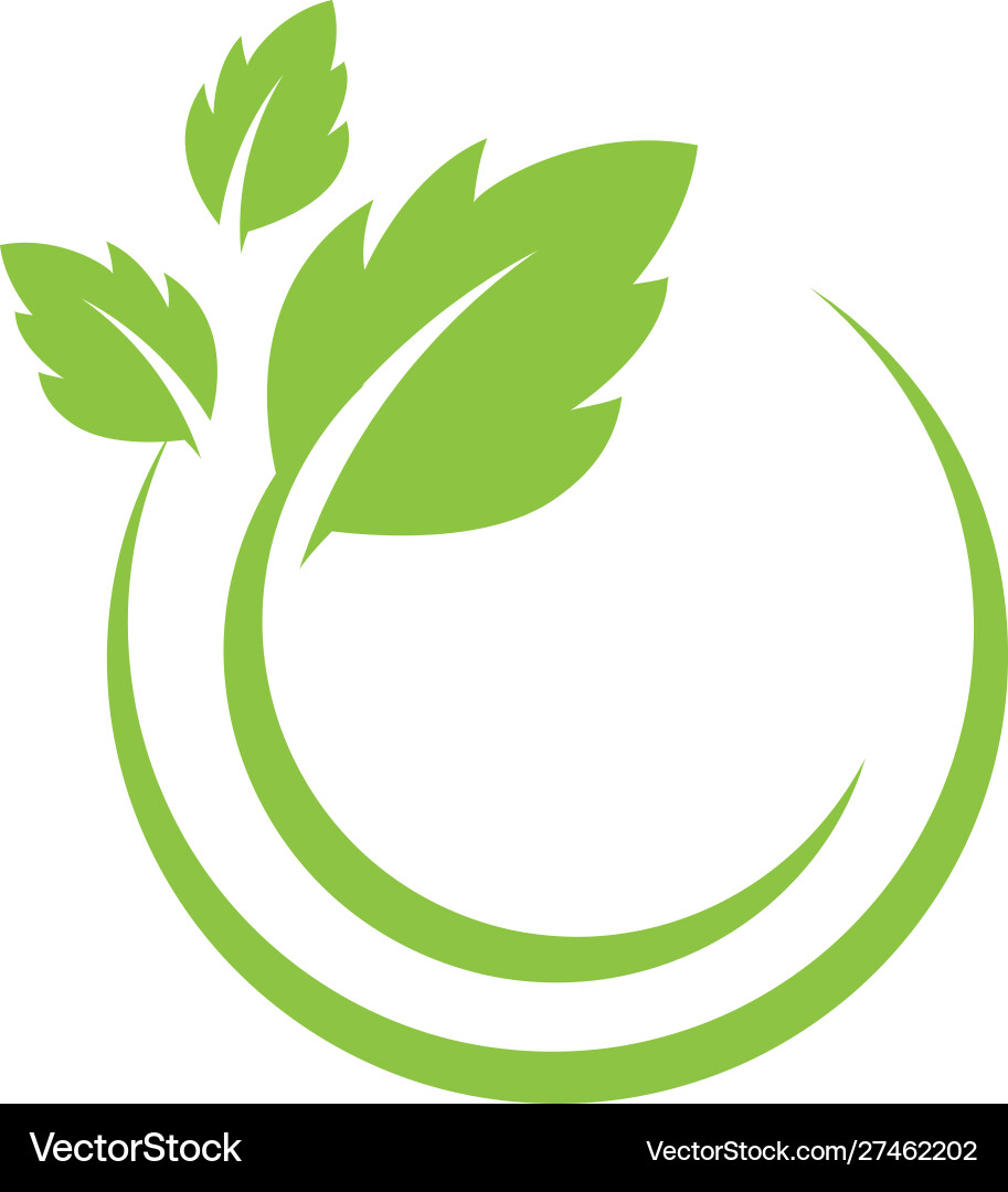 Tree leaf icon template Vector Image