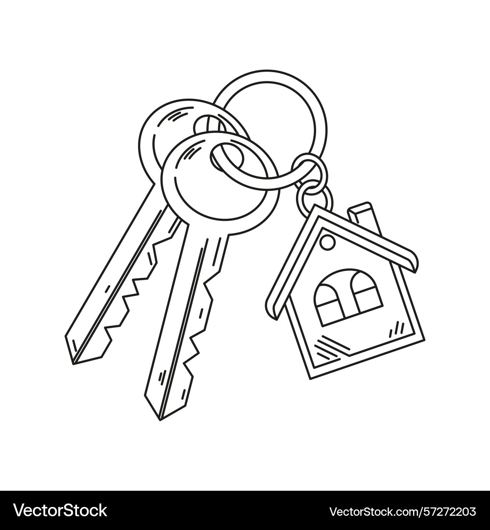 A bunch of two keys with keychain for mortise Vector Image